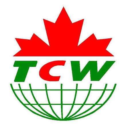 Canadian Excellence Institute